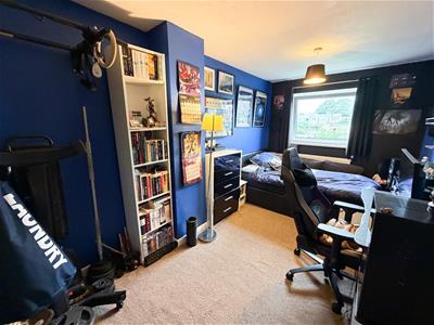 Picture 13